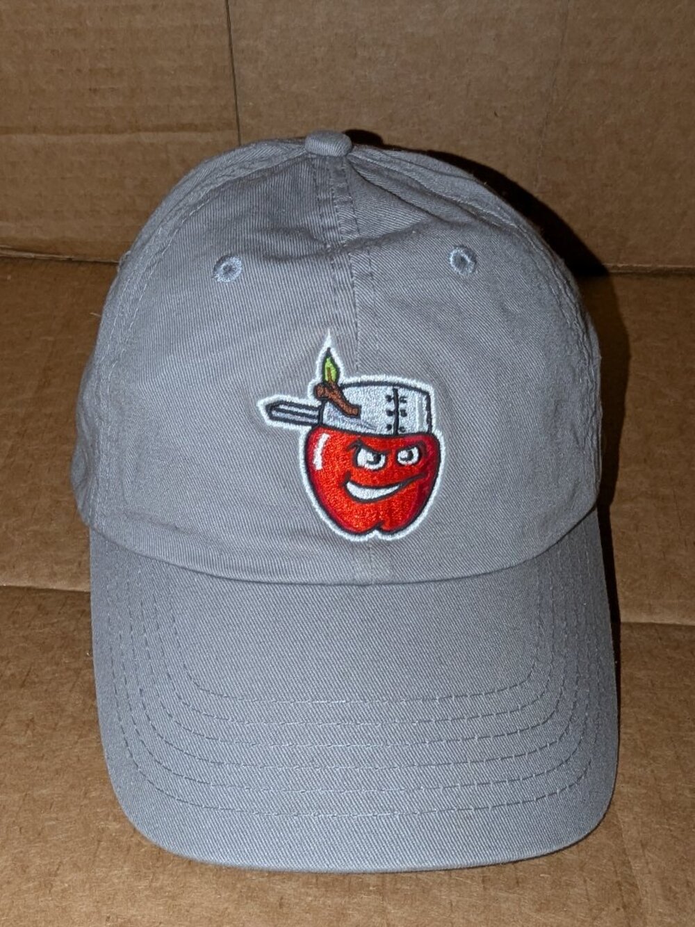 Fort Wayne TinCaps Hat Cap Gray Adjustable MiLB Baseball Lincoln Financial